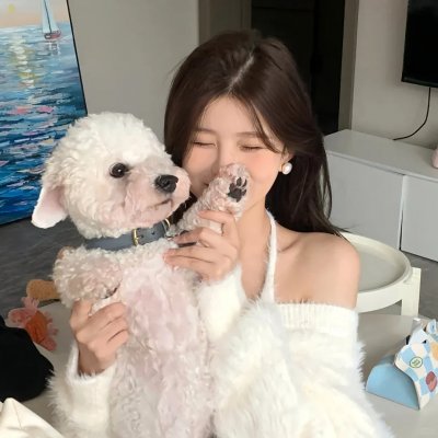 追讨者